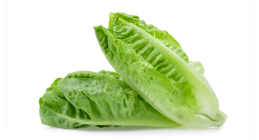 Lettuce